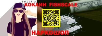 индика Камышлов