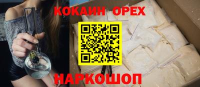 индика Камышлов