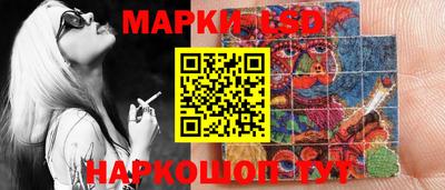 индика Камышлов