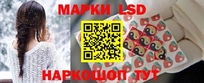 индика Камышлов