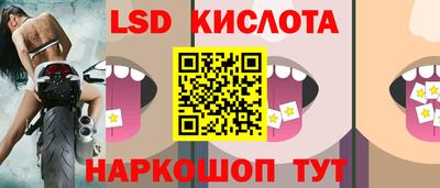 индика Камышлов