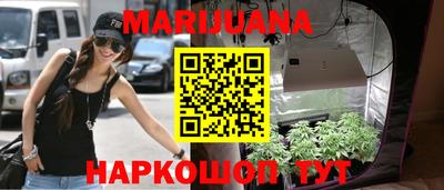индика Камышлов