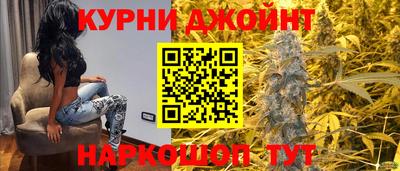 индика Камышлов