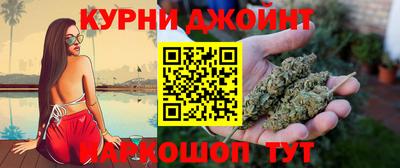 индика Камышлов