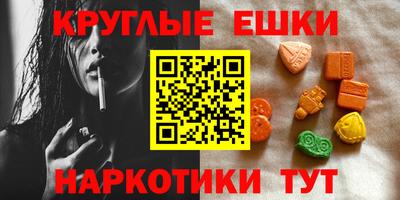 индика Камышлов