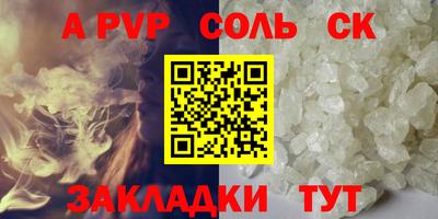 индика Камышлов
